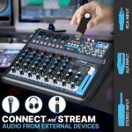 Shure Portable Microphone for Clear Sound Quality