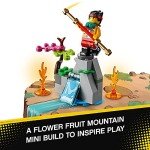 LEGO Monkie Kid Red Son’s Inferno Jet Set