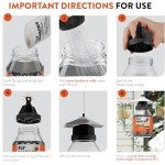 2-Pack Outdoor Fly Traps with Non-Toxic Bait