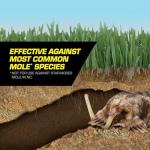 Tomcat Mole Killer - Effective Poison Bait, 10 Worms