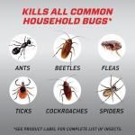 Ortho Home Defense Max Indoor Insect Barrier: 1 gal