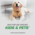 Tomcat Ready-to-Use Rodent Repellent with Wand