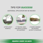 Tomcat Ready-to-Use Rodent Repellent with Wand