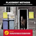 Giant Fly Glue Trap - Bulk Pack Outdoor