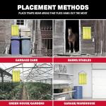 Giant Fly Glue Trap - Bulk Pack Outdoor