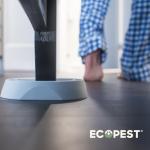 Bed Bug Interceptors - 8 Pack Traps (White)