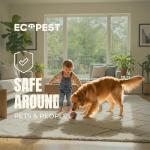 Bed Bug Interceptors - 8 Pack Traps (White)