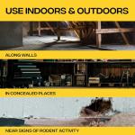 Victor M925 Rodent Poison - Kills Rats & Mice