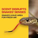 Victor VP364B Snake-A-Way Outdoor Snake Repellent Granules