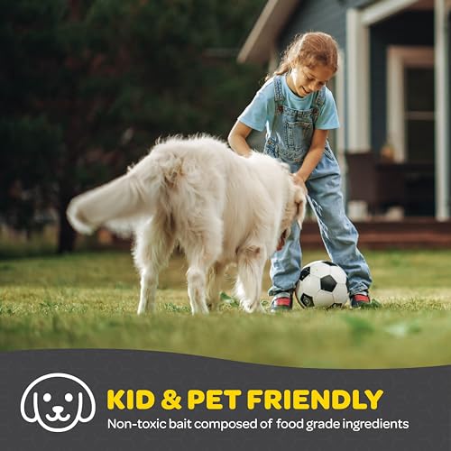 Outdoor Hanging Fly Trap Set - Non-Toxic Bait