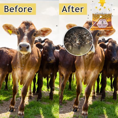 8 Outdoor Fly Traps with Bait - Disposable Bags