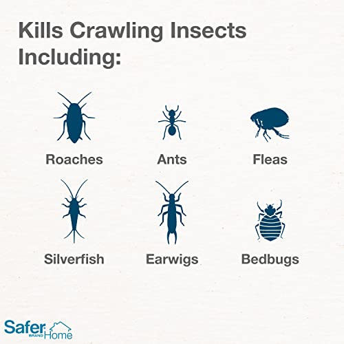 Diatomaceous Earth Insect Killer for Home Pests