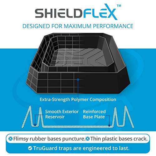 8-Pack Eco-Friendly Bed Bug Traps by TruGuard