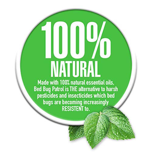 Natural Bed Bug Killer Spray - Safe & Effective