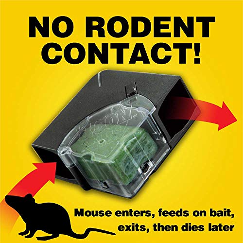 d-CON Corner Fit Mouse Bait Station with Refills