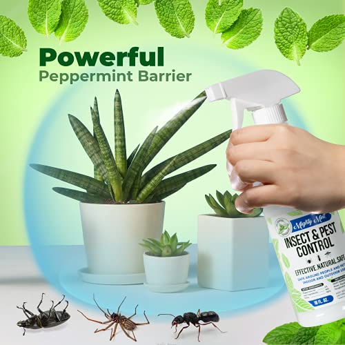 Mighty Mint 16oz Peppermint Oil Insect & Pest Spray