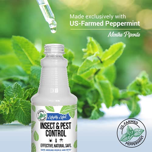 Mighty Mint 16oz Peppermint Oil Insect & Pest Spray