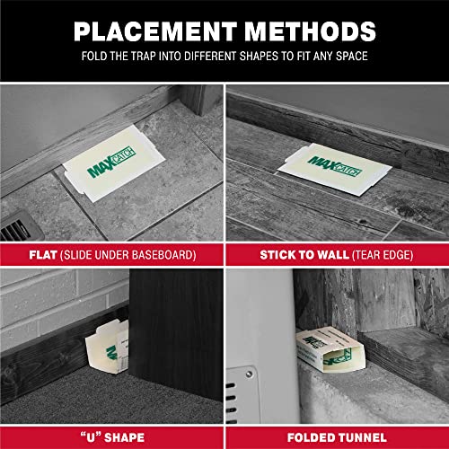 Catchmaster Mouse & Rat Glue Traps - 72 Pack