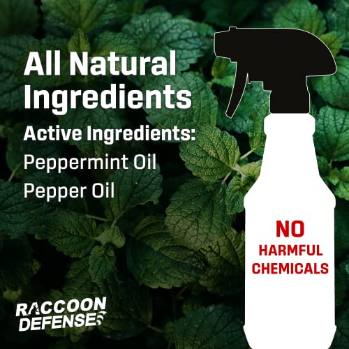 Raccoon Defense Spray - 32 OZ Natural Repellent