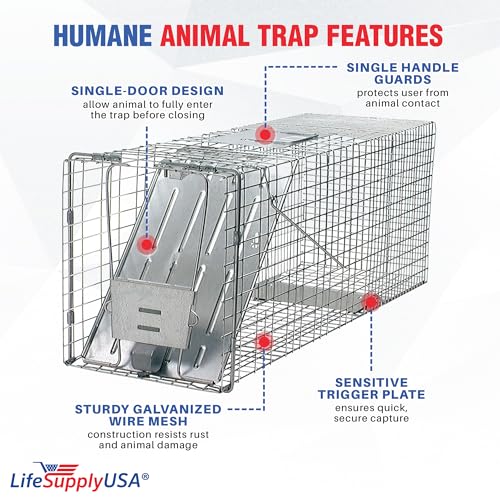 Large Live Animal Cage Trap for Foxes & Raccoons