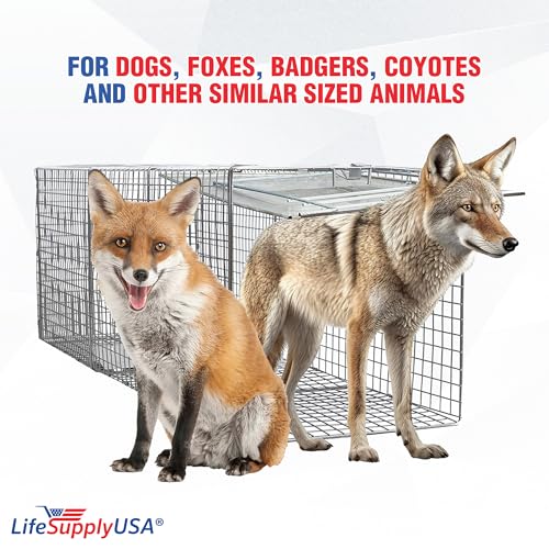 Large Live Animal Cage Trap for Foxes & Raccoons
