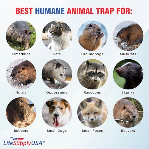 Large Live Animal Cage Trap for Foxes & Raccoons