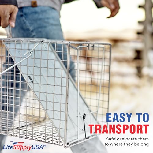 Large Live Animal Cage Trap for Foxes & Raccoons