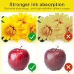 Yamation 13" DTF Transfer Film Roll - 328 ft