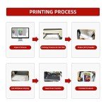 storcfe DTF Pigment Ink, Transfer Ink Refill for All DTF Transfer Printers Epson ET-8550 XP-15000 L1800 L800 R2400 P400 P800, Heat Transfer Printing Direct to Film (6-Pack, 2 White + BKCMY)