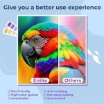 Enlite Premium DTF Ink 500ML Combo Pack