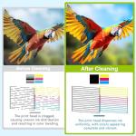 CenDale Premium DTF Printhead Cleaning Solution - Universal Printhead Cleaner Kit for Any DTF & DTG Printers, Print Head Cleaning Kit for Epson ET8550 L1800 XP15000 R1390 XP600 Ink Printer (100ML)