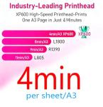 Stable industrialized Print Head A3 DTF Printer with White Ink Circulation System, Clothing Fabric Printing Machine (Printer + Automatic Oven + Software + Computer + Materials)