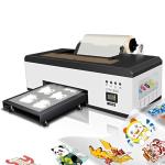 A3 DTF Printer with Inks and Roll Feeder