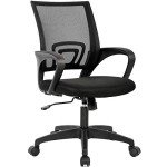 Ergonomic Mesh Desk Chair with Lumbar Support