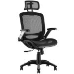 GABRYLLY Ergonomic Office Chair with Headrest
