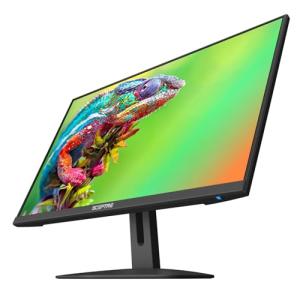 Sceptre 24-inch Gaming Monitor with FreeSync