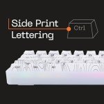 Higround Trailhead 65% Wired Gaming Keyboard - Snowstone