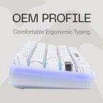 Higround Trailhead 65% Wired Gaming Keyboard - Snowstone