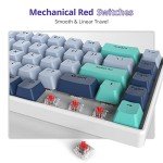 Owpkeenthy 65% RGB Mechanical Gaming Keyboard