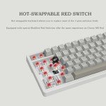 AK992 Red Switch Wired Gaming Mechanical Keyboard