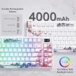 Womier Wireless 75% RGB Mechanical Gaming Keyboard