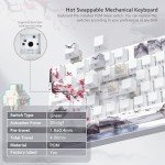 Womier Wireless 75% RGB Mechanical Gaming Keyboard