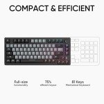 ARZOPA K81 English Gaming Keyboard