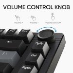 ARZOPA K81 English Gaming Keyboard
