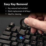 Hawksbill Scorpion V1 Wired Mechanical Gaming Keyboard