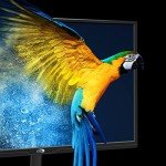 STGAubron 24" FHD Gaming Monitor with HDMI