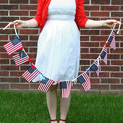 Patriotic Pennant Banners for 4th July Celebrations