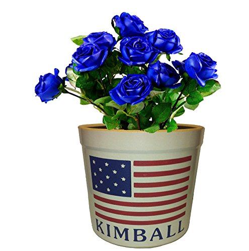2 Gallon Personalized Stoneware Crock - American Flag