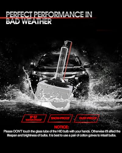 Torchbeam D3S HID Headlight Bulbs, 8000K Pack of 2