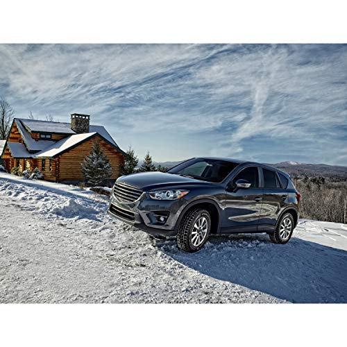 Cooper Evolution Winter 225/65R17 Tire